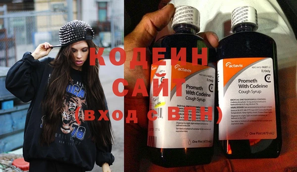 ПСИЛОЦИБИНОВЫЕ ГРИБЫ Абаза