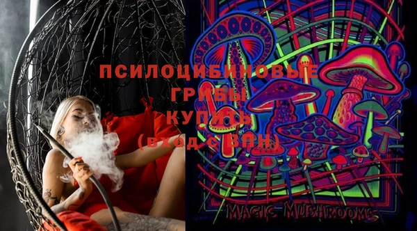 спайс Алзамай