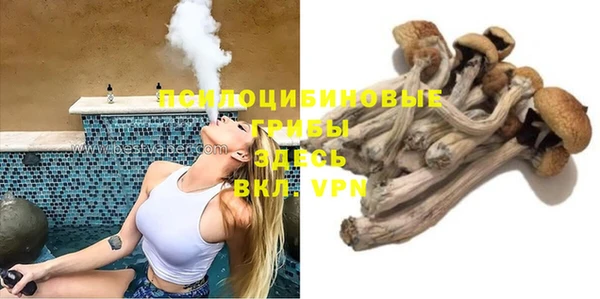 скорость Алексин