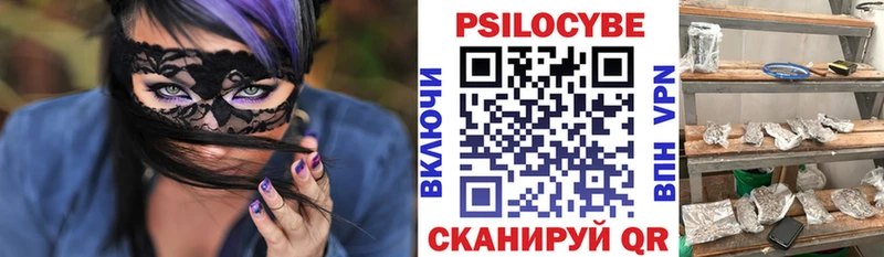 где купить   Новопавловск  Псилоцибиновые грибы мухоморы 